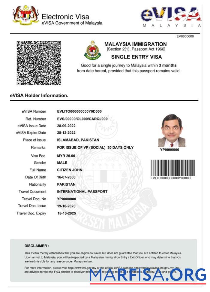 Realistic Malaysia e visa example